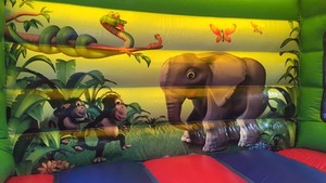 Bouncy Giggles Jumping Castles Pic 5 - Jungle Fever contains jumping area and slide 200 full day hire