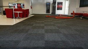 Best N Less Carpet Care Pic 3