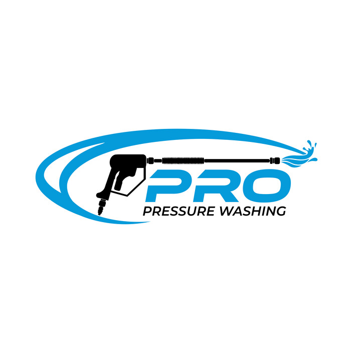 Pro Pressure Washing Pic 1 - Pro Pressure Cleaning Logo