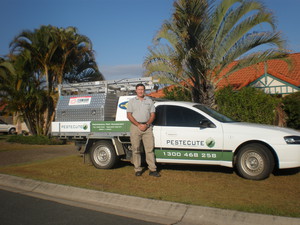 Pestecute - Pest Control Pic 2 - Fully equiped Ute for Termite and pest control