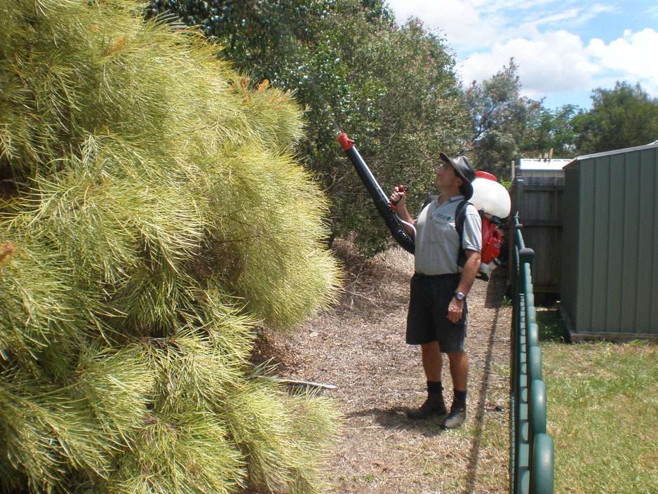 Pestecute - Pest Control Pic 1 - Mosquito Misting