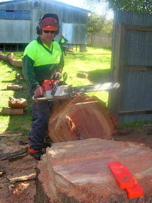 O'Connor Tree Services Pic 2 - gum safely downstump and cleanupanother happy customer