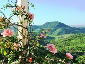 Sunshine Weddings Pic 3 - Views from Ceremony Reception venue