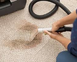 Carpet Cleaning Darlington Pic 1