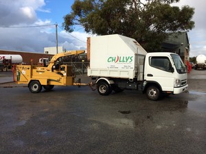 Chillys Qualified Tree Service Pic 3