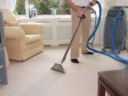 Cherubs & Dust - Nanny & Cleaning Agency Pic 2 - Affordable carpet steam cleaning central Coast