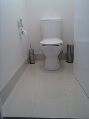 Mick McCabe Carpentry Pic 5 - Toilet renovation Brisbane