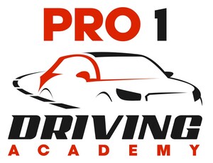 Pro 1 Driving Academy Pic 3