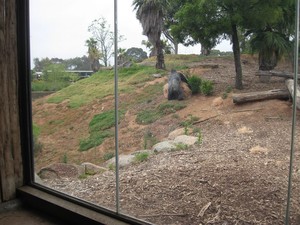 Slumber Safaris - Werribee Open Range Zoo Pic 5