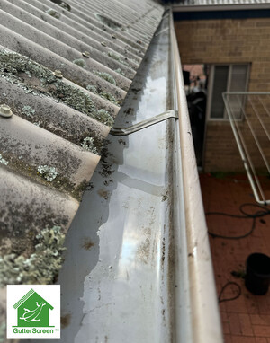 Gutterscreen Pic 3 - Clean gutters by Gutterscreen