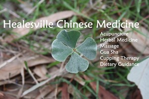 Healesville Chinese Medicine Pic 3