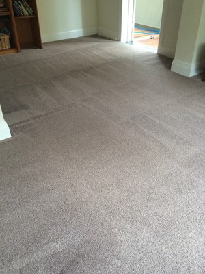 Coast Carpet Clinic Pic 5 - Residential Carpet Cleaning