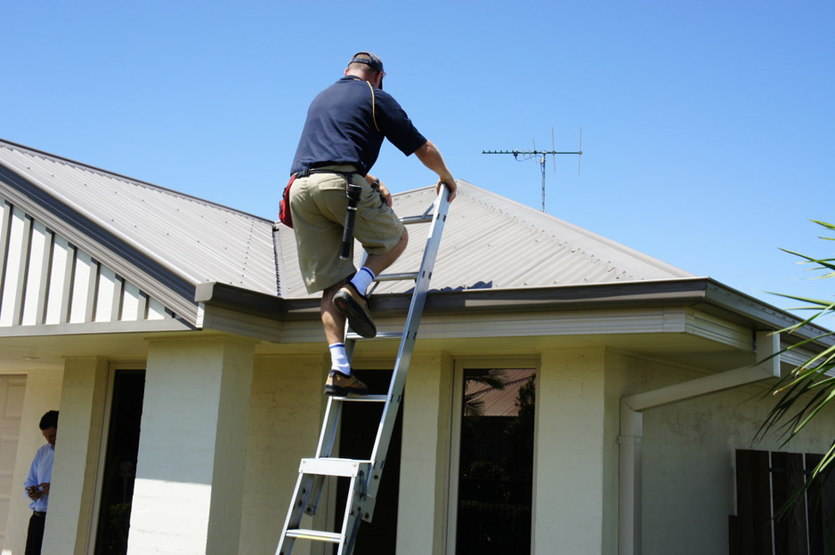 Inspect My Home Coffs Harbour Pic 1