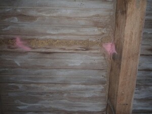 The Good Pest Pic 4 - Termite damage in subfloor