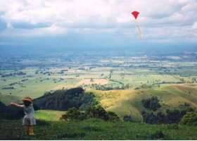 Mount Worth Cottage Pic 1 - Kite flying