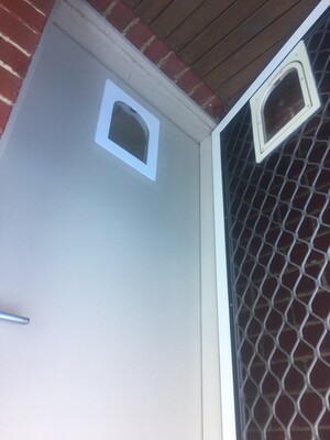 Affordable Pet Doors Melbourne Pic 3 - Aligned Pet Doors into Timber and Security Doors