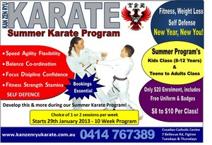 Kan Zen Ryu Karate Pic 2 - Karate Summer Program