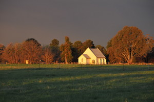 Ellis Bus Lines Pic 3 - Milawa Region