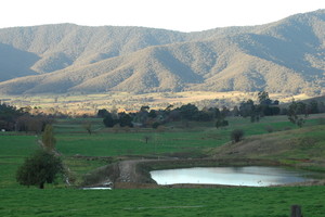 Ellis Bus Lines Pic 4 - Kiewa Valley