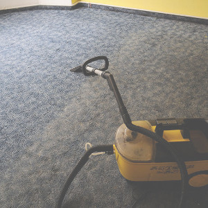 Carpet Cleaning Newport Pic 2 - carpet cleaning Newport