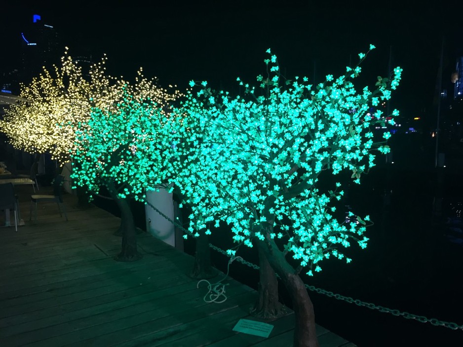 Darling Harbour Convention & Exhibition Pty Ltd Pic 2 - Electric trees