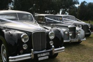 Jags on Wedding st Pic 2 - Nowra wedding cars