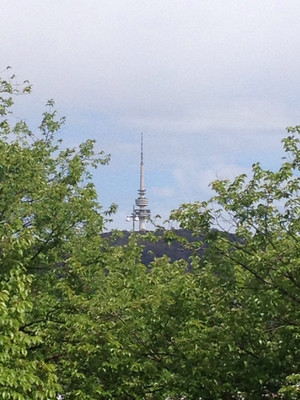 National Library Of Australia - Public Programs Division Pic 3 - Back of the library has views to Telstra Tower