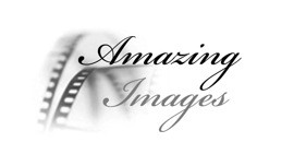 Amazing Images Photography Pic 1 - professional photographer aipp member