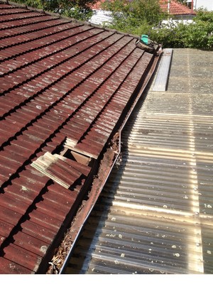 RoofLeak.com.au Pty. Ltd. Pic 2