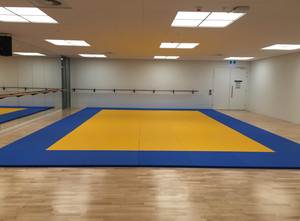 Dojo Mats Pic 3 - University of South Australia mats