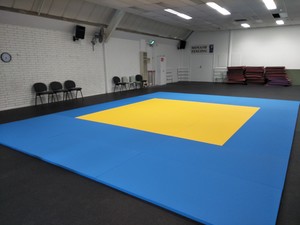 Dojo Mats Pic 4 - Monash University Jiu Jitsu Club mats