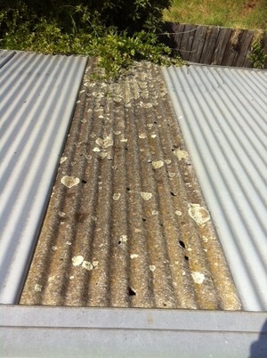 Creations By Claudio Pic 3 - Hail damaged roof before