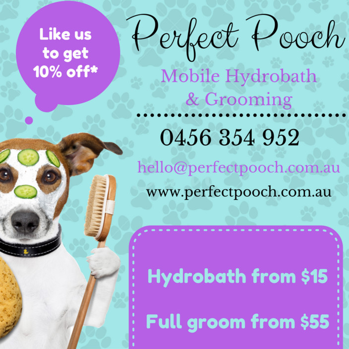 Perfect pooch hydrobathing & grooming Gold Coast Pic 1