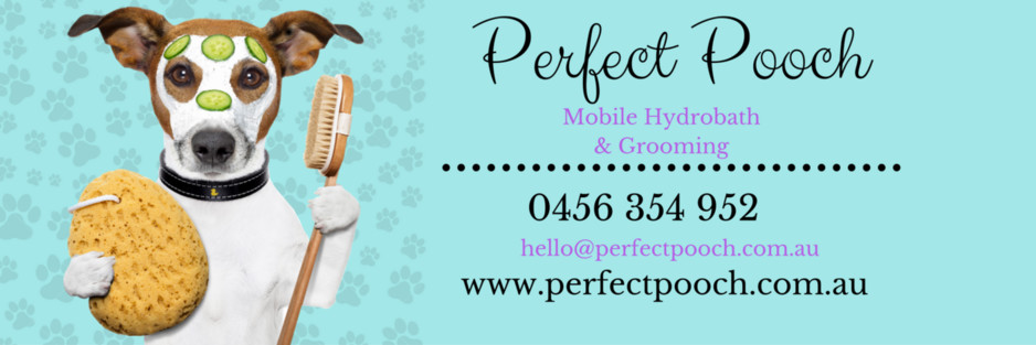 Perfect pooch hydrobathing & grooming Gold Coast Pic 2