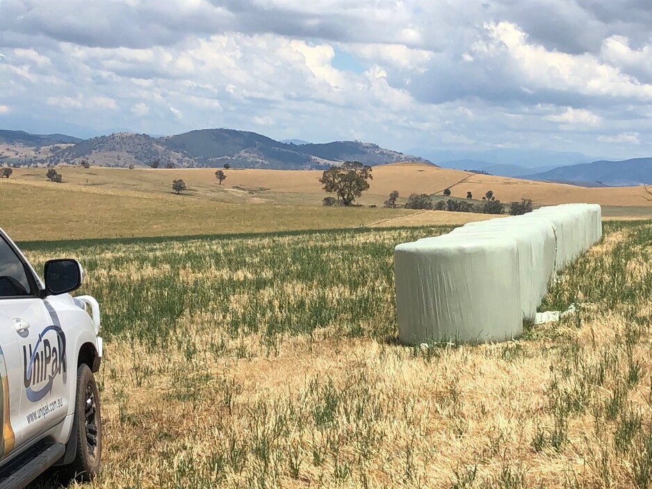 Silage Wrap Pic 1 - Rural landscape with a field of dry grass and green crops featuring a row of plasticwrapped hay bales using silage wrap for livestock feed protection