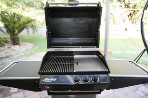 Oven - u Gold Coast & Logan Pic 3 - BBQ cleaning on the Gold Coast