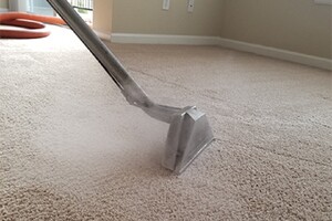 Rejuvenate Carpet Cleaning Pic 3