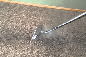 Rejuvenate Carpet Cleaning Pic 4