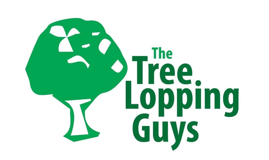 The Tree Lopping Guys Pic 2