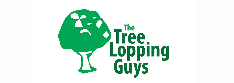 The Tree Lopping Guys Pic 1