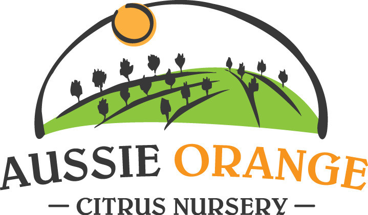 Aussie Orange Pty Ltd Pic 1