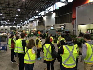 Melbourne Wholesale Flower Market Tours Pic 4 - A walk around the market