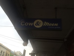 Cow & The Moon Pic 3