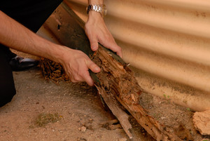 Jim's Pest Control Pic 2 - Avoid costly damage with a Jims Pest Controls termite treatment