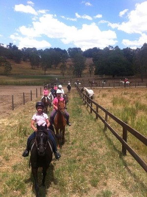 MJET Riding School Pic 3