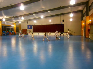 Japanese Australian Goju Karate Pic 5