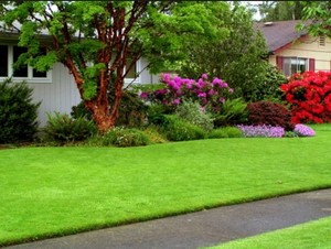 Gee's Lawn Mowing Pic 3