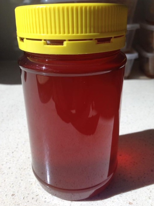 Bay 2 Bush Honey Pic 1 - Raw Honey 500 gram jar 500