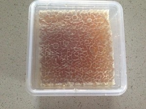 Bay 2 Bush Honey Pic 4 - Raw Honeycomb 300 gram in a quality reusable container 1200