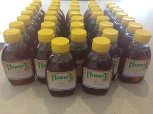 Bay 2 Bush Honey Pic 5 - Raw Honey 500 gram Squeeze bottle 550